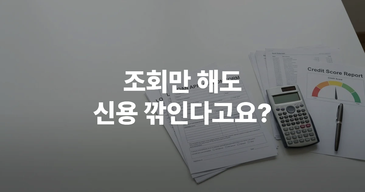 대출 조회 신용점수 영향과 플랫폼 비교 정보 2026 인포그래픽